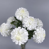 Dahlia Flower Stem Cream White 50cmH